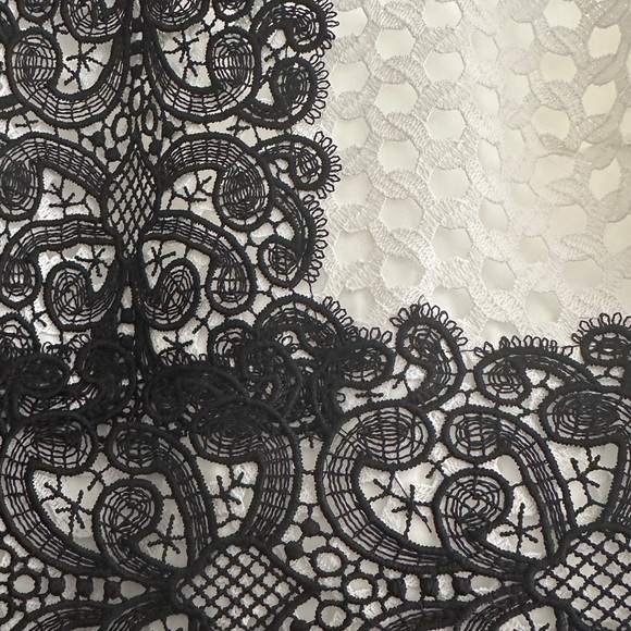 Gorgeous Zara black and white giupure lace dress - Picture 9 of 9